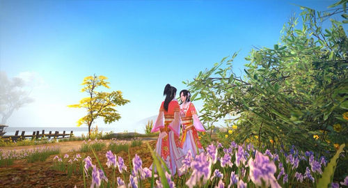 ���۶�ô��źͲ�ã����Щ��Ӱ�ܻ��Ŀ����